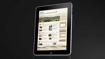 庆元堂徽菊茶叶网站设计与品牌策划 尚略广告的专业赋能